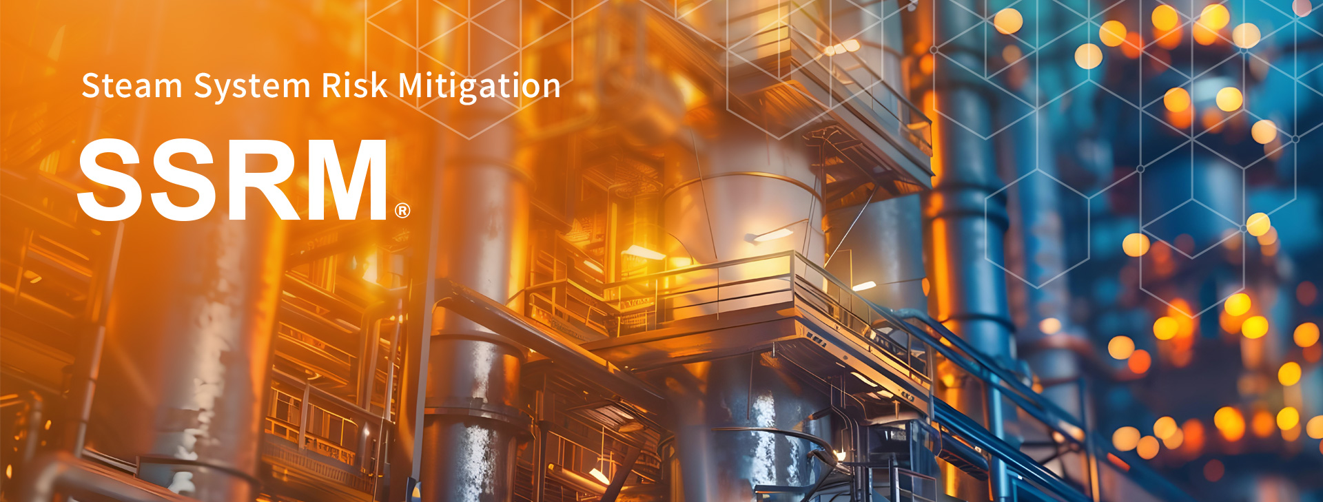 SSRM®: Steam System Risk Mitigation