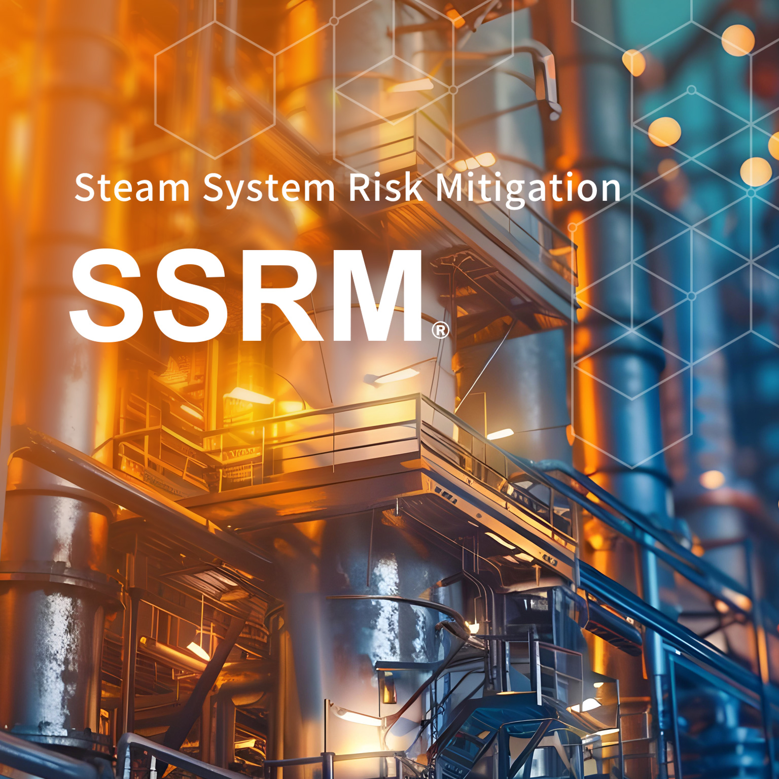 SSRM®: Steam System Risk Mitigation