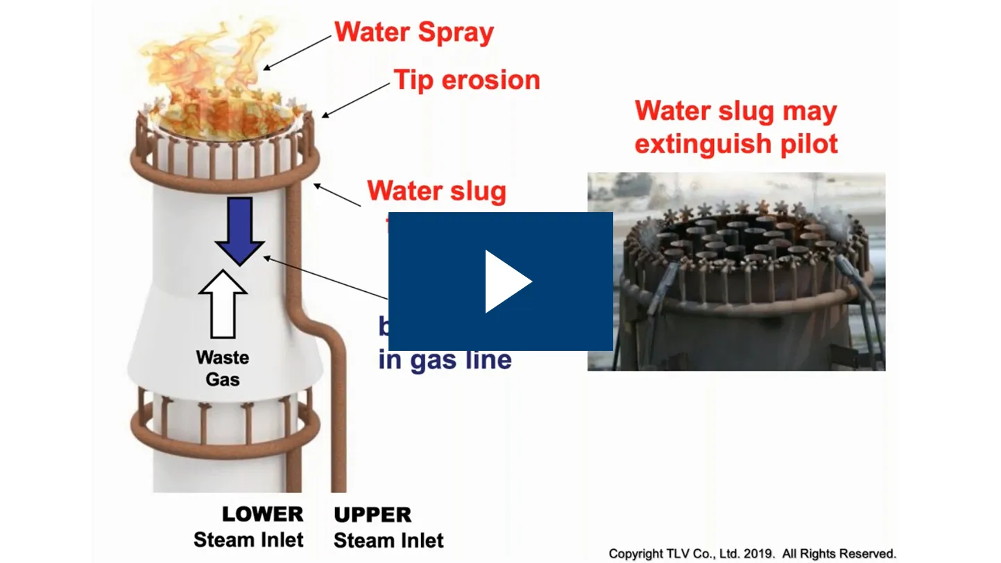 本次研讨会聚焦石化与炼油装置的蒸汽系统优化，梳理焦化厂、汽轮机、再沸器、火炬、减温器、储罐、余热锅炉、空气加热器及真空系统等关键设备的蒸汽供给、利用与排凝要点，提升安全性、可靠性、产能与盈利能力。